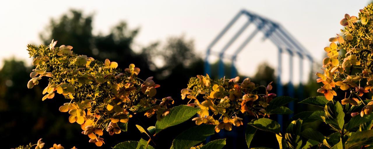 GVSU Blue Arch and Flowers